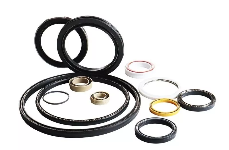 Kawruh dhasar saka Spring-Energized Seal
