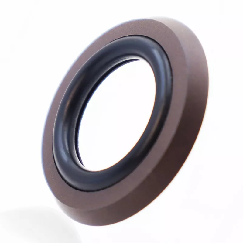 Axial Foot Type Seal Gabungan