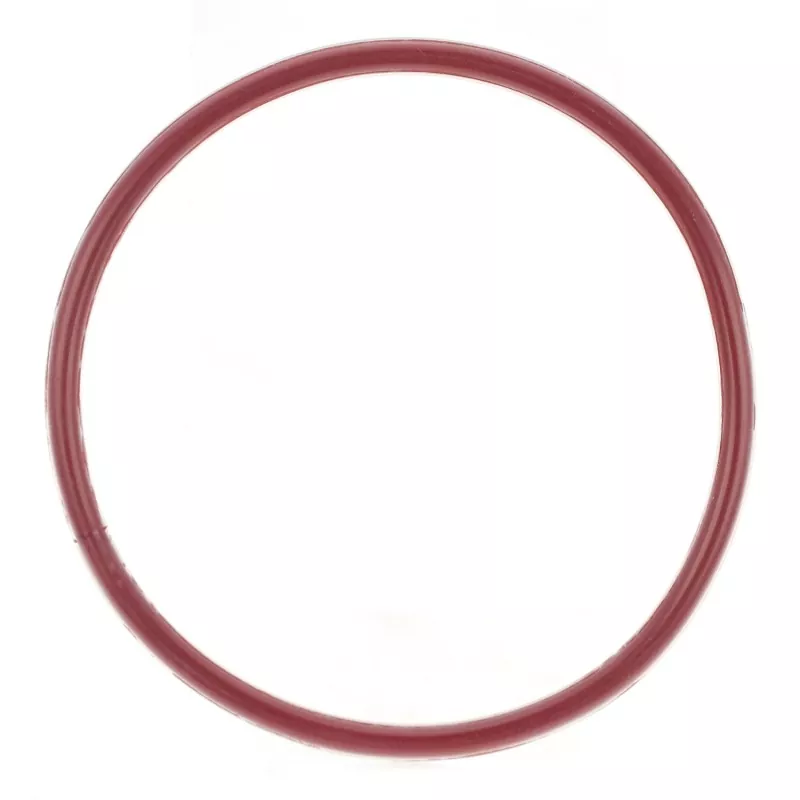 FEP / PFA Encapsulated O-Ring