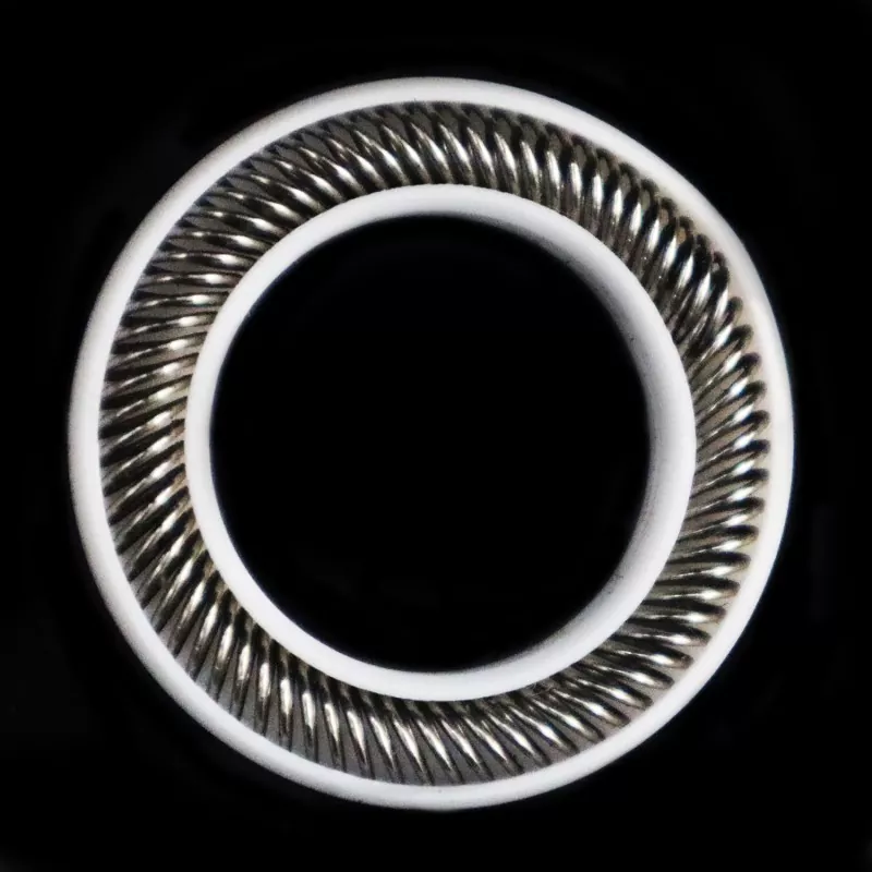 Heavy-Duty Spring Energized Seal