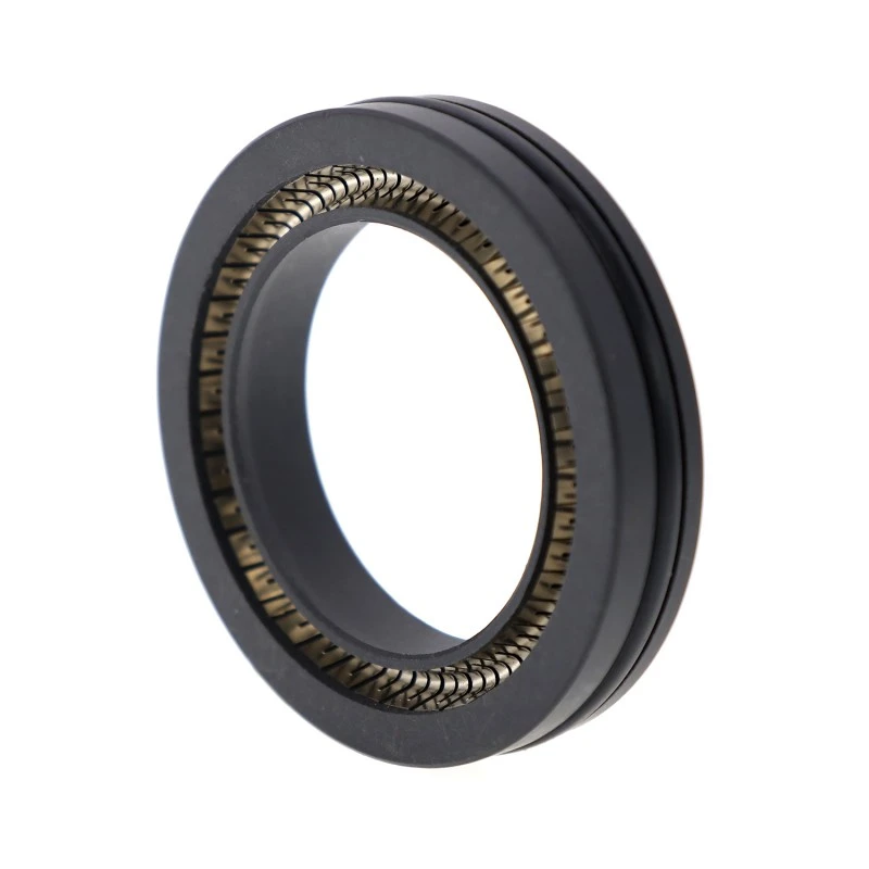 PTFE Spring-Energized Seal kanggo Rotary