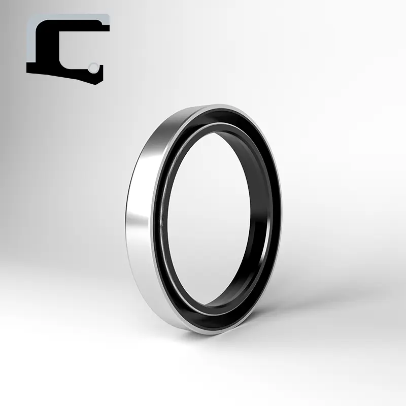 Puteri Shaft Lip Seals